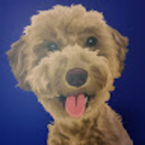 Meet your Posher, Dru